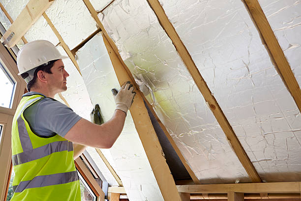 Best Energy Efficiency Insulation in Marlboro Meadows, MD